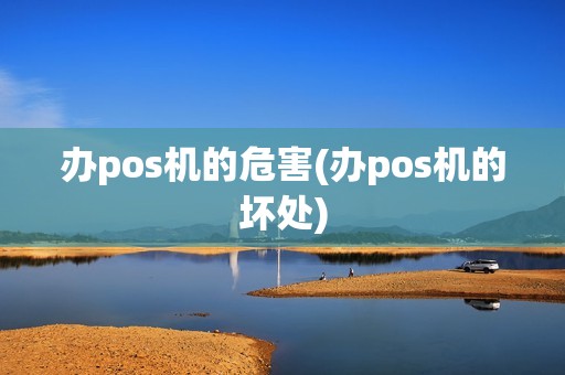 办pos机的危害(办pos机的坏处)