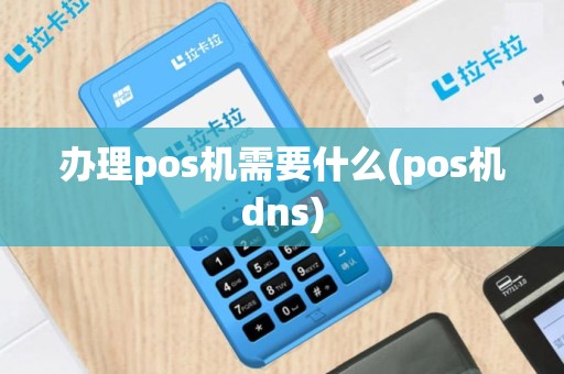 办理pos机需要什么(pos机dns)
