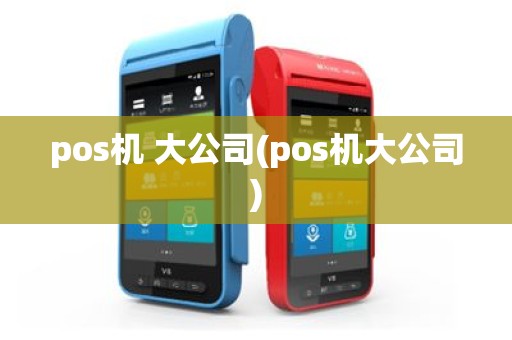 pos机 大公司(pos机大公司)