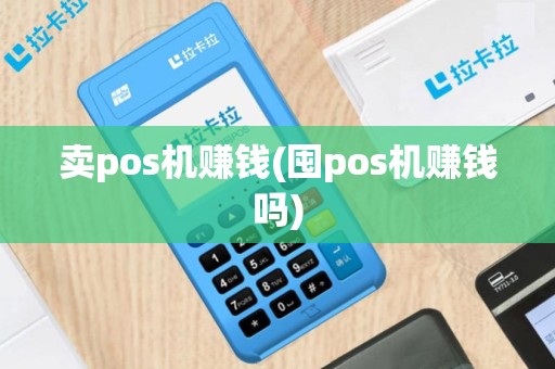 卖pos机赚钱(囤pos机赚钱吗)