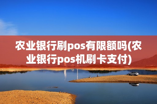 农业银行刷pos有限额吗(农业银行pos机刷卡支付)