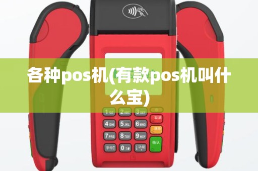 各种pos机(有款pos机叫什么宝)