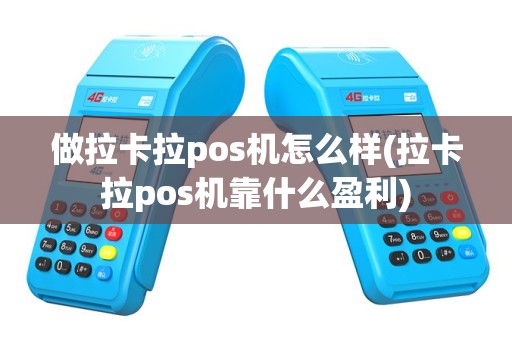 做拉卡拉pos机怎么样(拉卡拉pos机靠什么盈利)