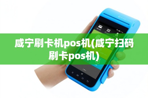 咸宁刷卡机pos机(咸宁扫码刷卡pos机)