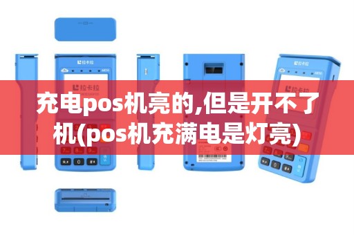 充电pos机亮的,但是开不了机(pos机充满电是灯亮)