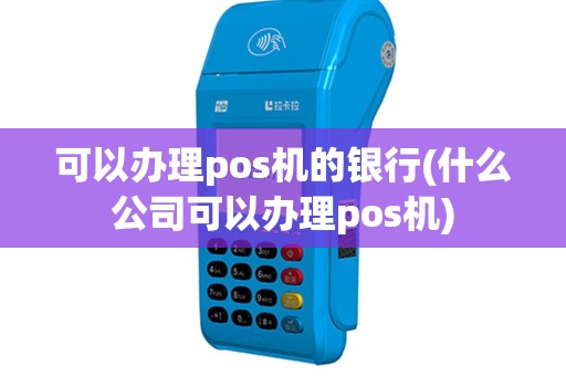 可以办理pos机的银行(什么公司可以办理pos机)