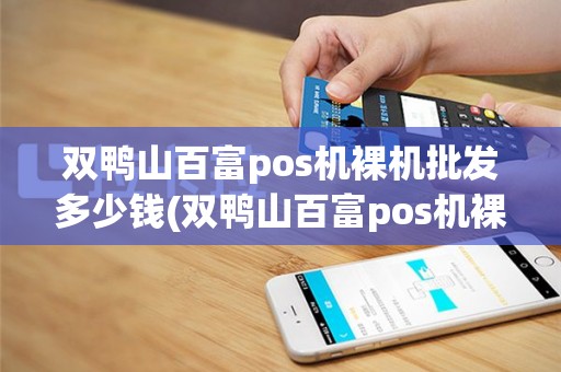 双鸭山百富pos机裸机批发多少钱(双鸭山百富pos机裸机批发)