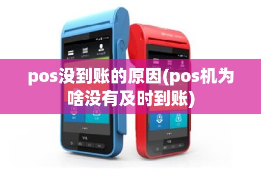 pos没到账的原因(pos机为啥没有及时到账)