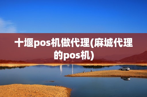 十堰pos机做代理(麻城代理的pos机)