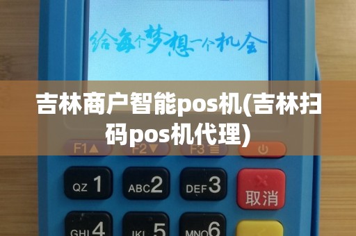 吉林商户智能pos机(吉林扫码pos机代理)