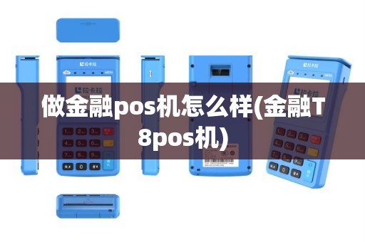 做金融pos机怎么样(金融T8pos机)