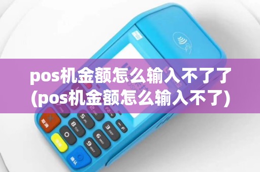 pos机金额怎么输入不了了(pos机金额怎么输入不了)