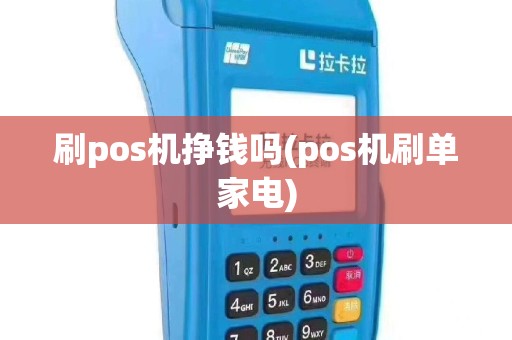 刷pos机挣钱吗(pos机刷单家电)