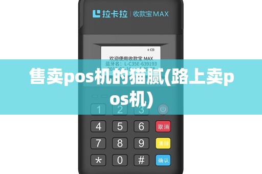 售卖pos机的猫腻(路上卖pos机)
