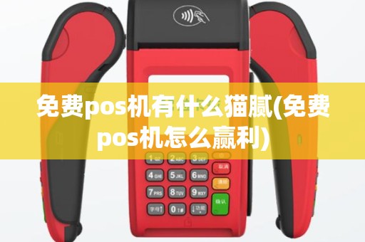 免费pos机有什么猫腻(免费pos机怎么赢利)
