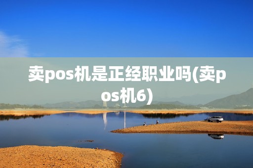 卖pos机是正经职业吗(卖pos机6)