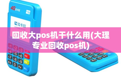 回收大pos机干什么用(大理专业回收pos机)