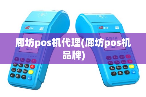 廊坊pos机代理(廊坊pos机品牌)