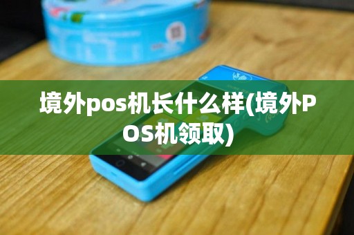 境外pos机长什么样(境外POS机领取)