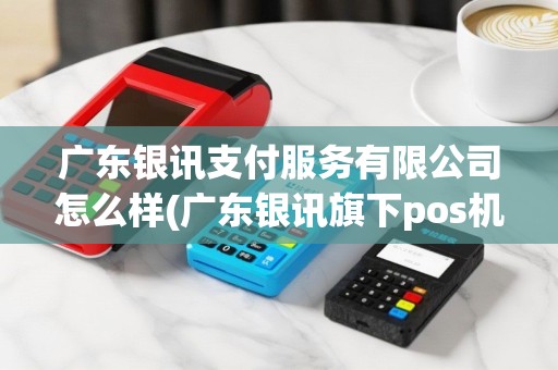 广东银讯支付服务有限公司怎么样(广东银讯旗下pos机品牌)