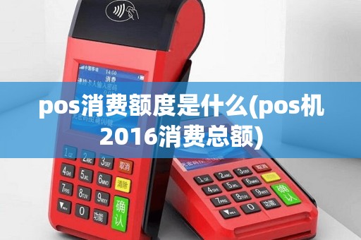 pos消费额度是什么(pos机2016消费总额)