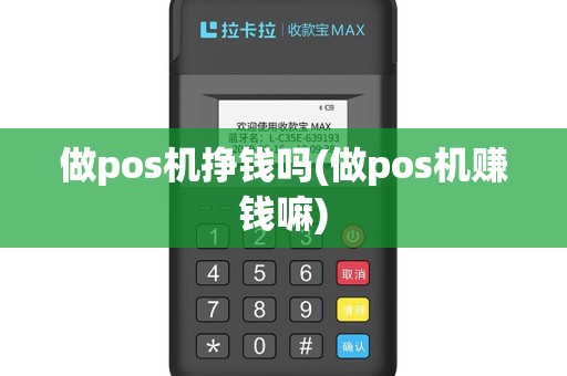 做pos机挣钱吗(做pos机赚钱嘛)