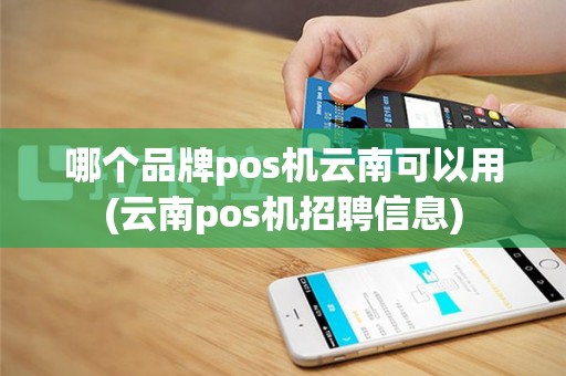 哪个品牌pos机云南可以用(云南pos机招聘信息)