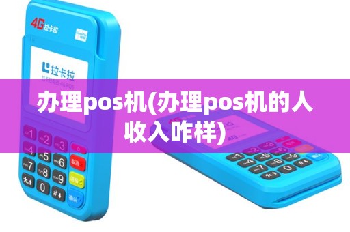 办理pos机(办理pos机的人收入咋样)