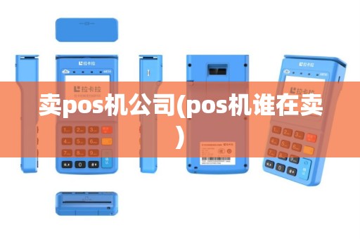 卖pos机公司(pos机谁在卖)