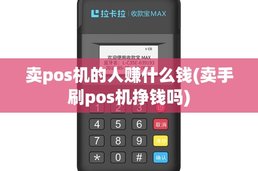 卖pos机的人赚什么钱(卖手刷pos机挣钱吗)