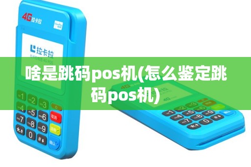 啥是跳码pos机(怎么鉴定跳码pos机)