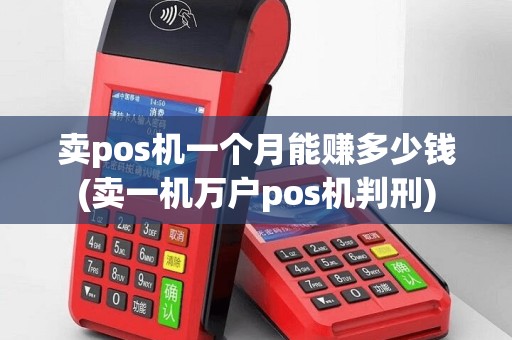 卖pos机一个月能赚多少钱(卖一机万户pos机判刑)