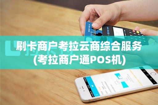 刷卡商户考拉云商综合服务(考拉商户通POS机)