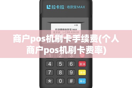 商户pos机刷卡手续费(个人商户pos机刷卡费率)