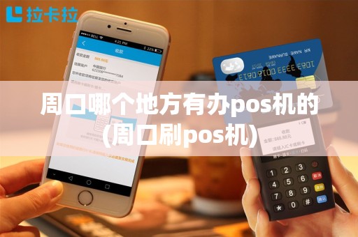 周口哪个地方有办pos机的(周口刷pos机)