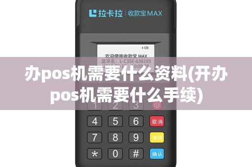 办pos机需要什么资料(开办pos机需要什么手续)