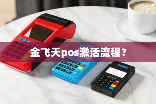 金飞天pos激活流程？