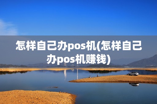 怎样自己办pos机(怎样自己办pos机赚钱)