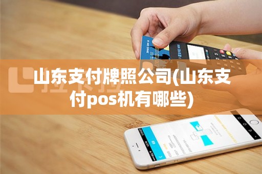 山东支付牌照公司(山东支付pos机有哪些)