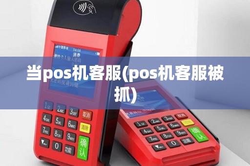 当pos机客服(pos机客服被抓)
