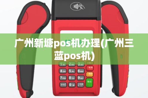 广州新塘pos机办理(广州三蓝pos机)