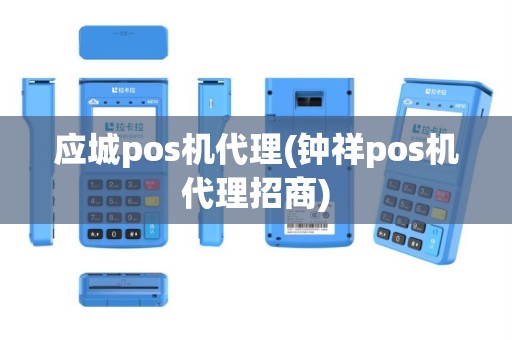 应城pos机代理(钟祥pos机代理招商)