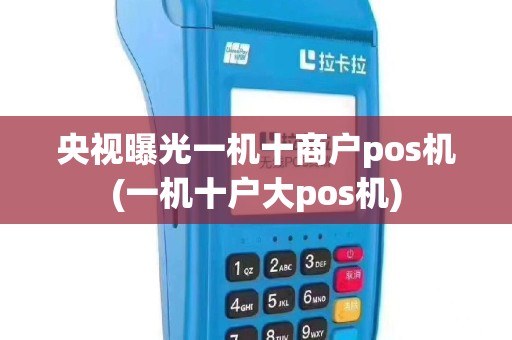 央视曝光一机十商户pos机(一机十户大pos机)