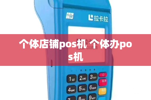 个体店铺pos机 个体办pos机