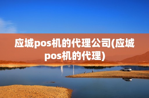 应城pos机的代理公司(应城pos机的代理)
