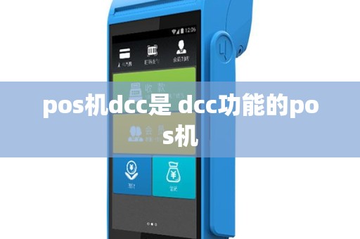 pos机dcc是 dcc功能的pos机