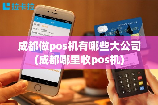 成都做pos机有哪些大公司(成都哪里收pos机)