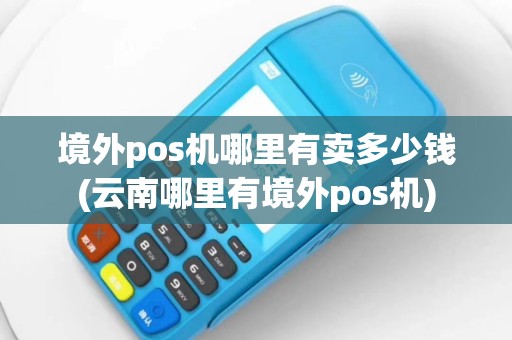 境外pos机哪里有卖多少钱(云南哪里有境外pos机)