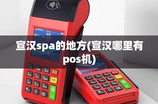 宣汉spa的地方(宣汉哪里有pos机)
