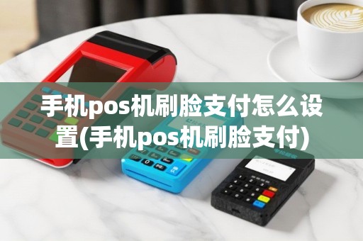 手机pos机刷脸支付怎么设置(手机pos机刷脸支付)